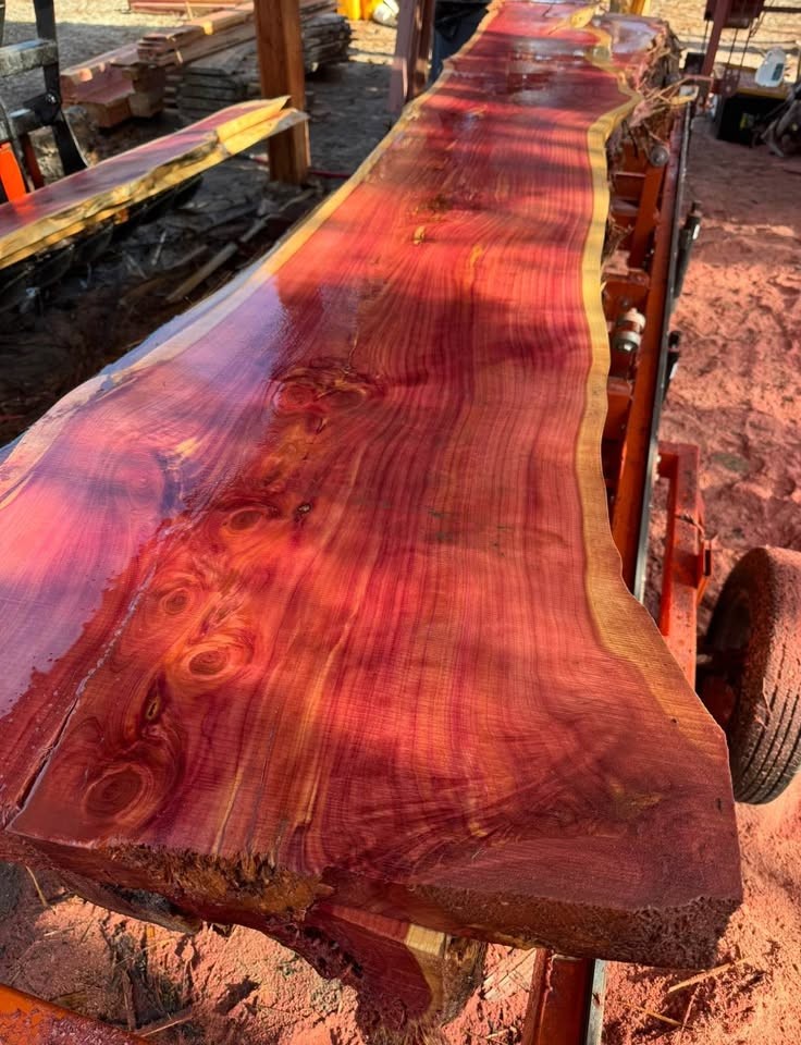 Eastern Red Cedar Lumber and Wood Slabs - Image 4
