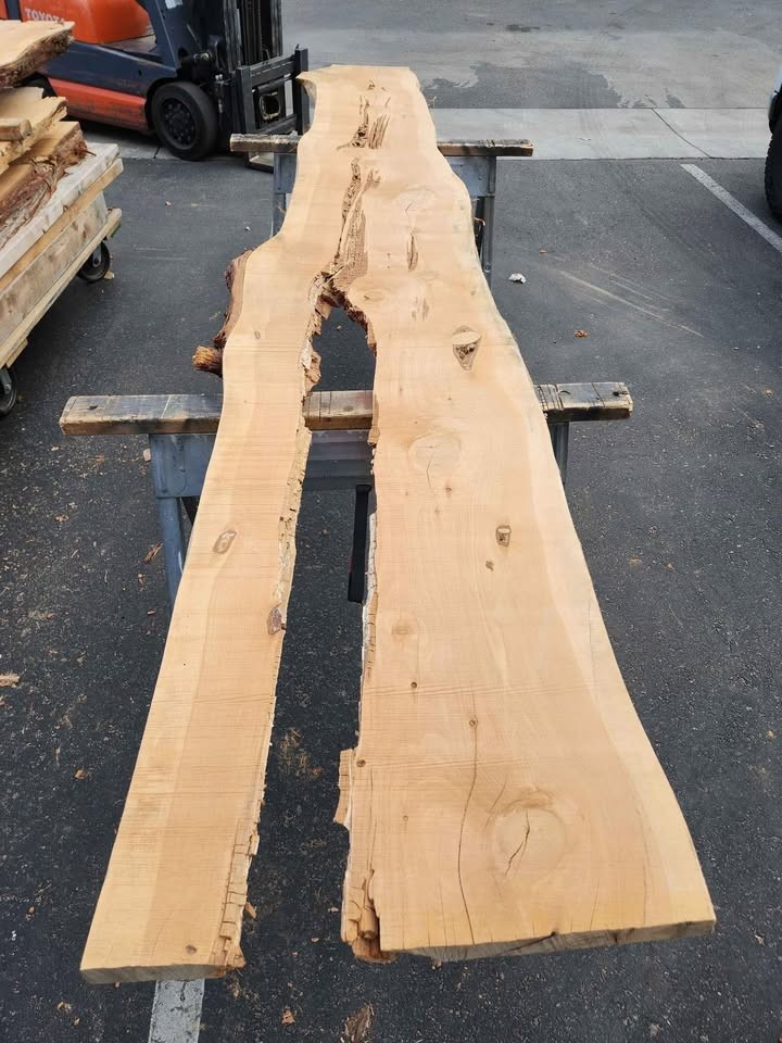 Kiln Dried 11.5ft Juniper Slab - 3x20x11.5ft Cool Epoxy Project Wood - Image 5