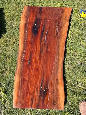 Paul wall Walnut slab