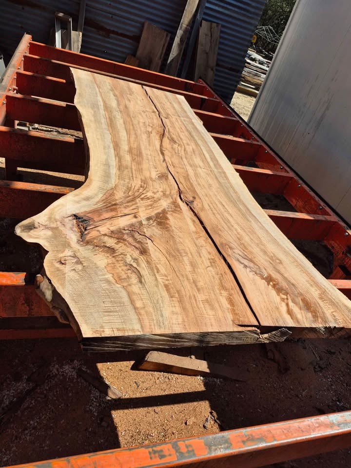 Live edge pecan slab - Image 2