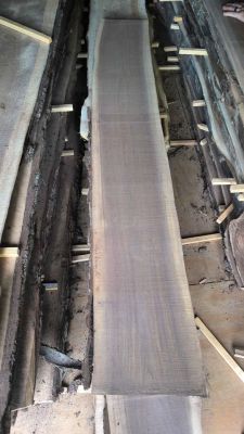 Freshly Milled Walnut slabs
