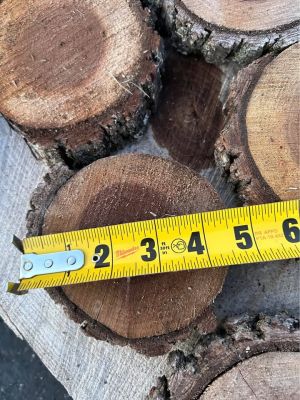 Live Edge Walnut Wood Cookie Rounds $2 each