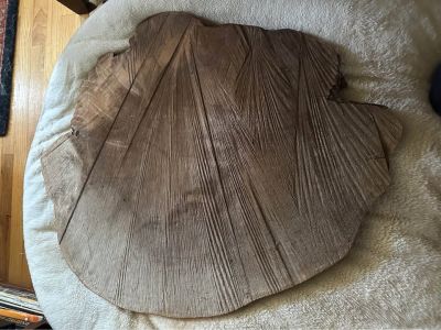 Live edge table top