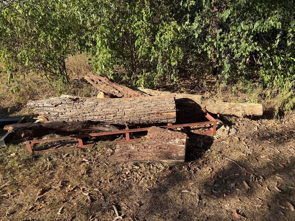 Wood - Image 2