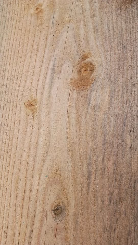 Lumber White pine - Image 2