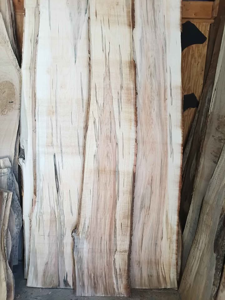 Live edge ambrosia Maple slabs - Image 5
