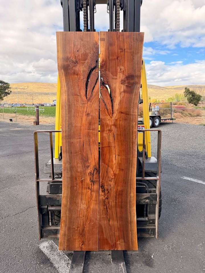 ???? BLACK WALNUT WOOD SLABS – $250 FOR BOTH!