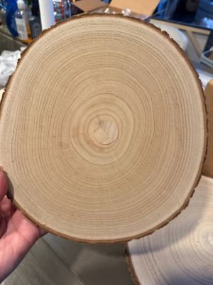 14 Natural Wood Slices for Centerpieces OBO
