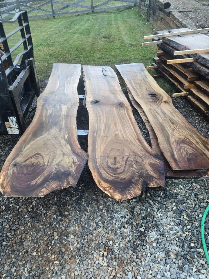 Live Edge Black Walnut Slabs - Image 4