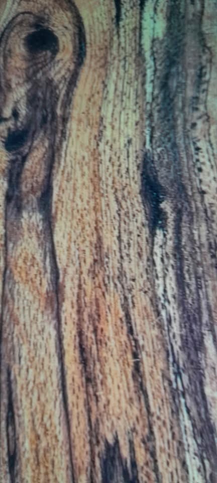 Rare Spalted Walnut Live Edge and Logs.... One of a Kind - Image 2