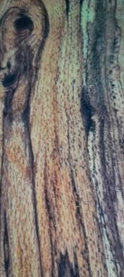Rare Spalted Walnut Live Edge and Logs.... One of a Kind