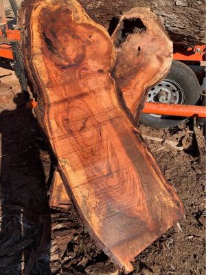 Spalted Pecan
