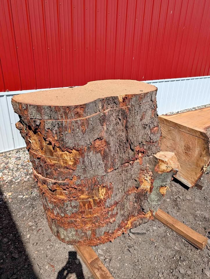 Live Edge Wood Slabs - Image 1