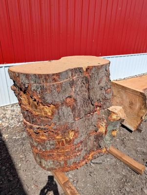Live Edge Wood Slabs