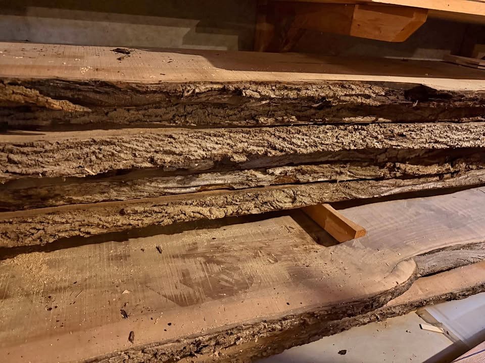 Black walnut slabs - Image 1