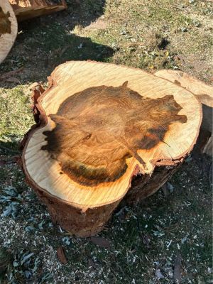 Spalted Maple slabs