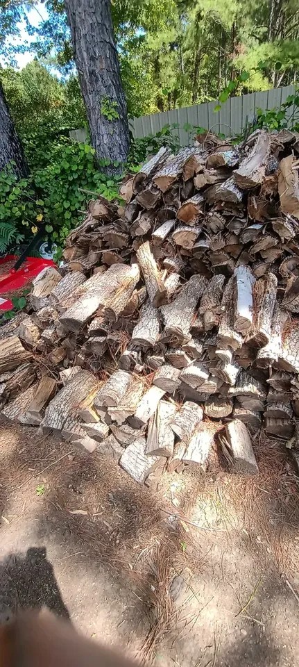 Hard Wood - Image 4
