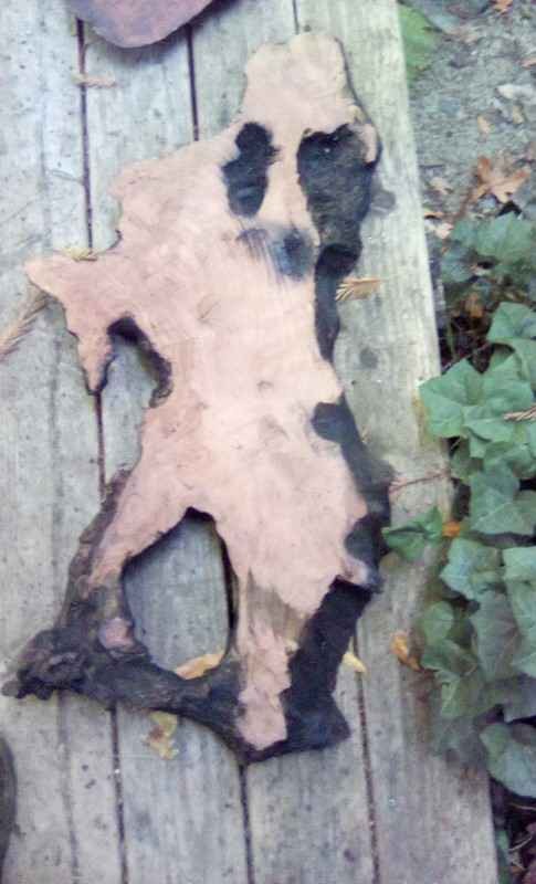 Live Edge Wood Slabs for Woodworking - Image 6