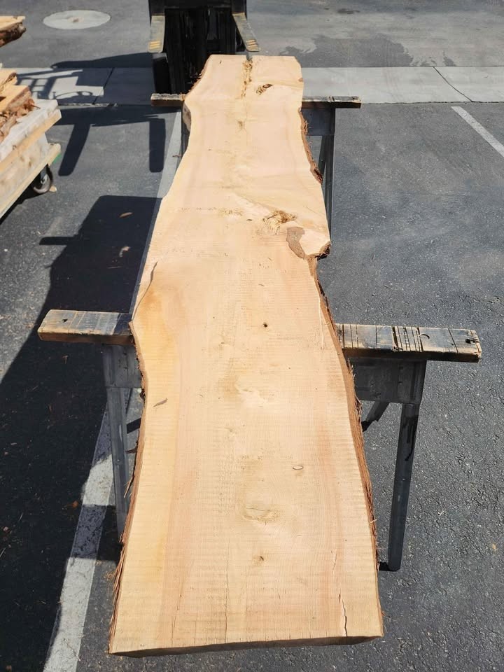 3x21x10ft Kiln Dried Juniper Slab - Great Wood Project Material - Image 9
