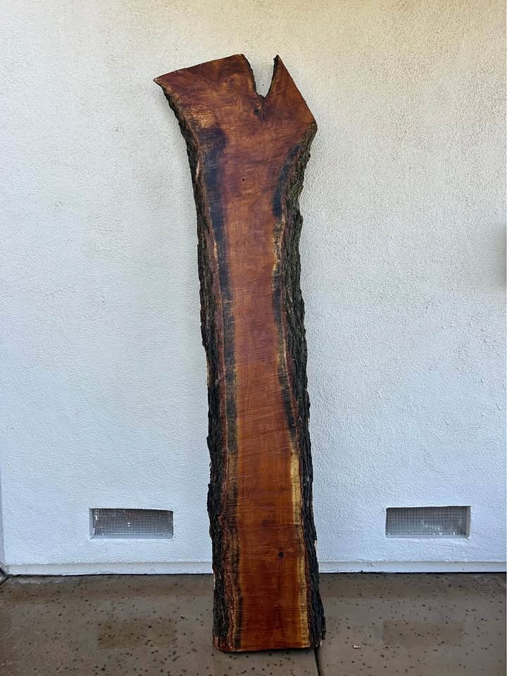 Dark red Hardwood Mulberry slab! 2.5inches thick! PLEASE READ DESCRIPTION! - Image 1