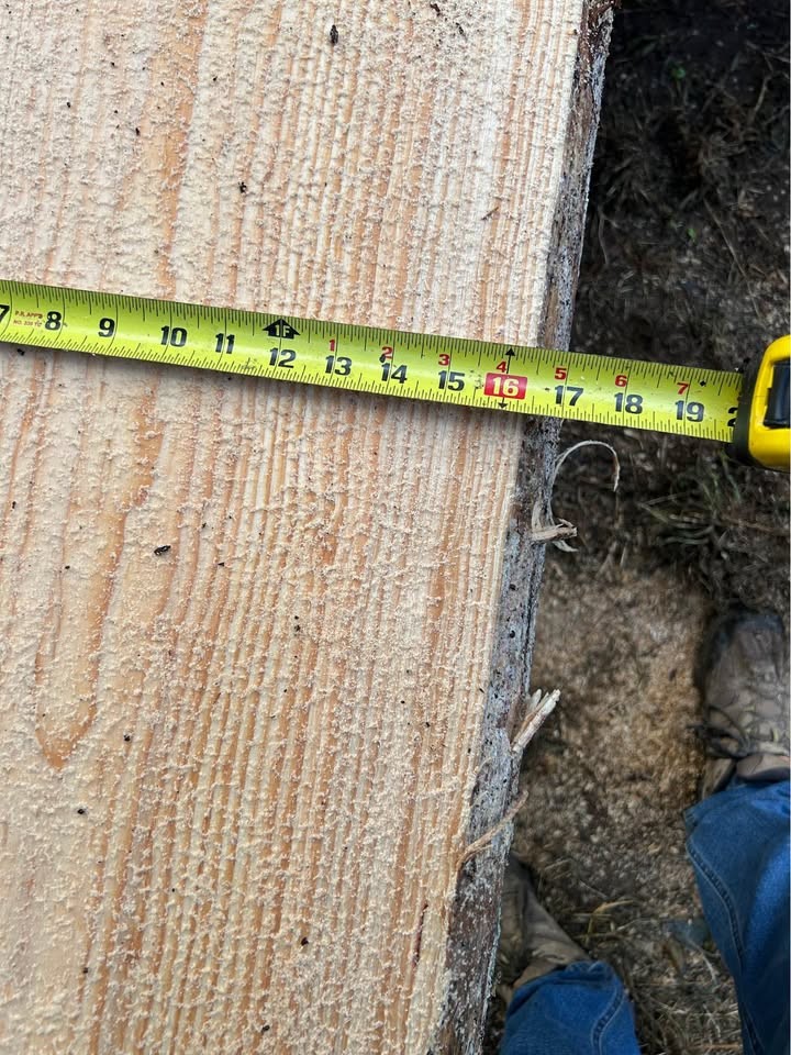 Pine slab - Image 3