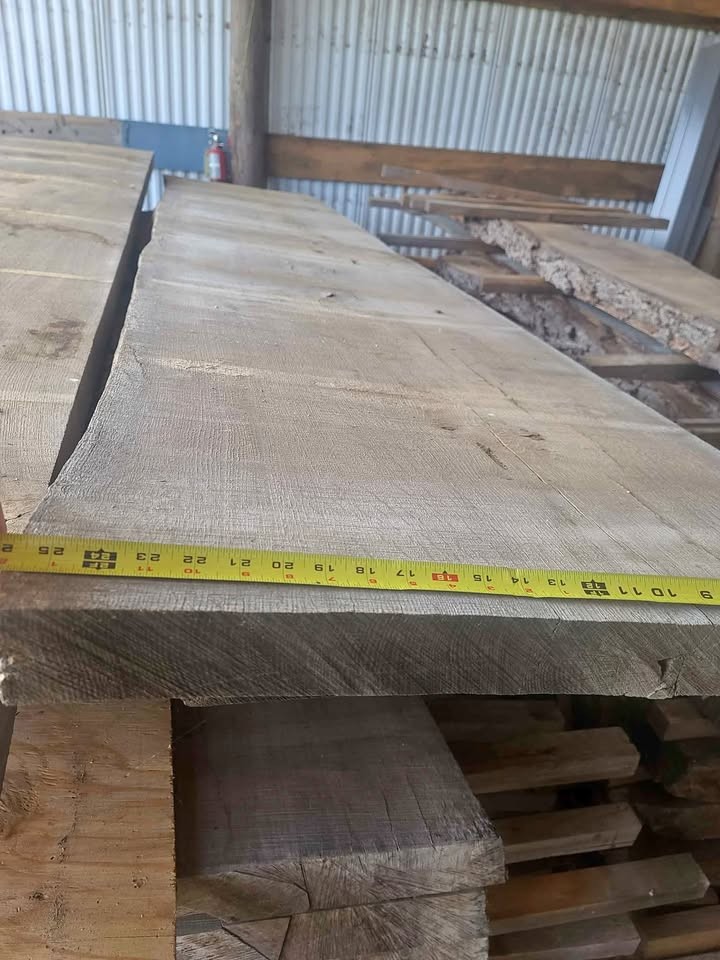 White Oak 2.5"× 24"×11' KD Slabs - Image 1