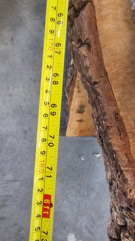Oak slabs - Image 4