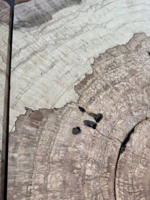 Large White Oak Burls Wood Burl Slabs Book matched and Rare