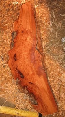 Cherry Burl Slab 18" x 6" x 2.25" — Deep Red Figured Live Edge Blank