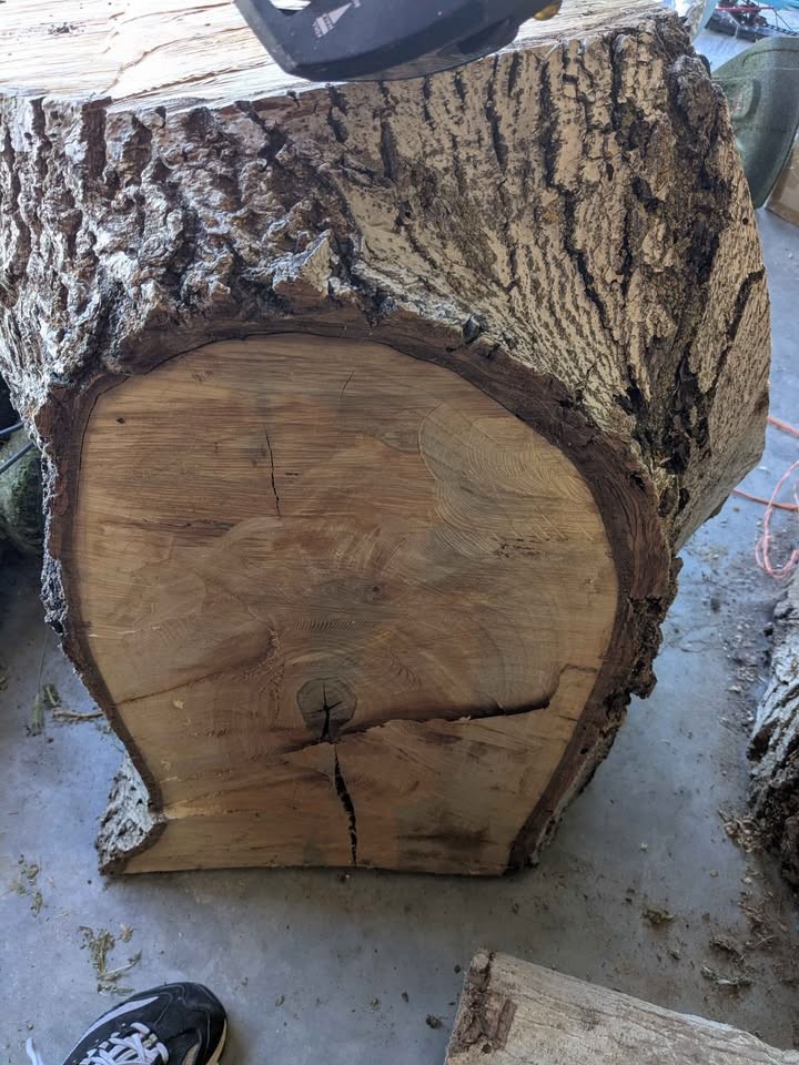 Walnut - Image 4