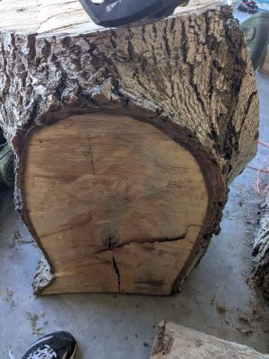 Walnut