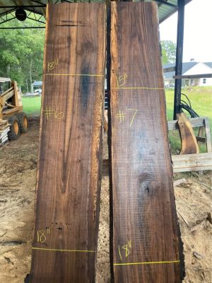 Black Walnut Live Edge Slabs