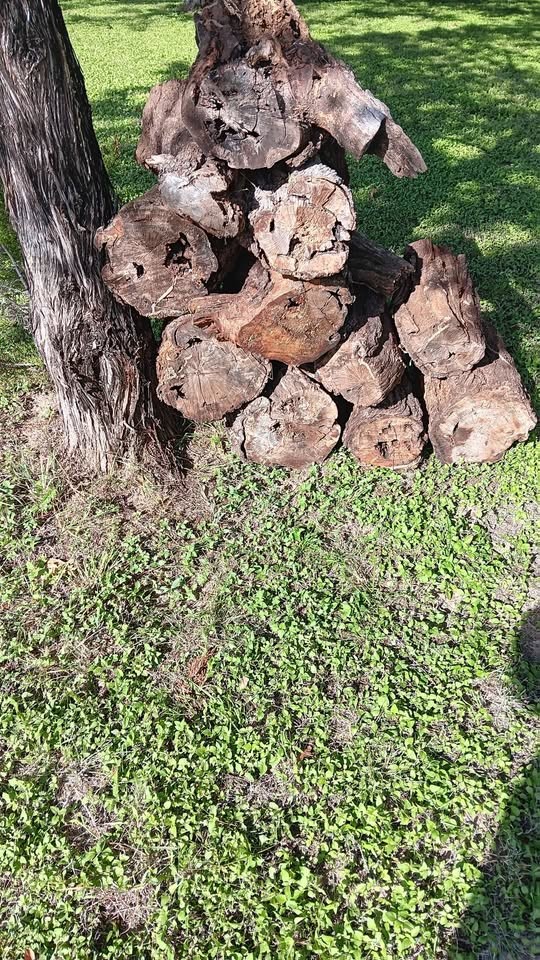 Wood - Image 5