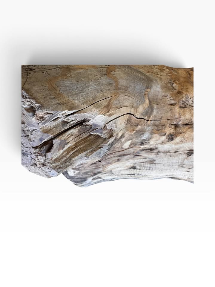 Pistachio Bowl Blank 12x12x5 DRY 8% MC Live Edge Woodturning Lathe Wood LARGE - Image 9