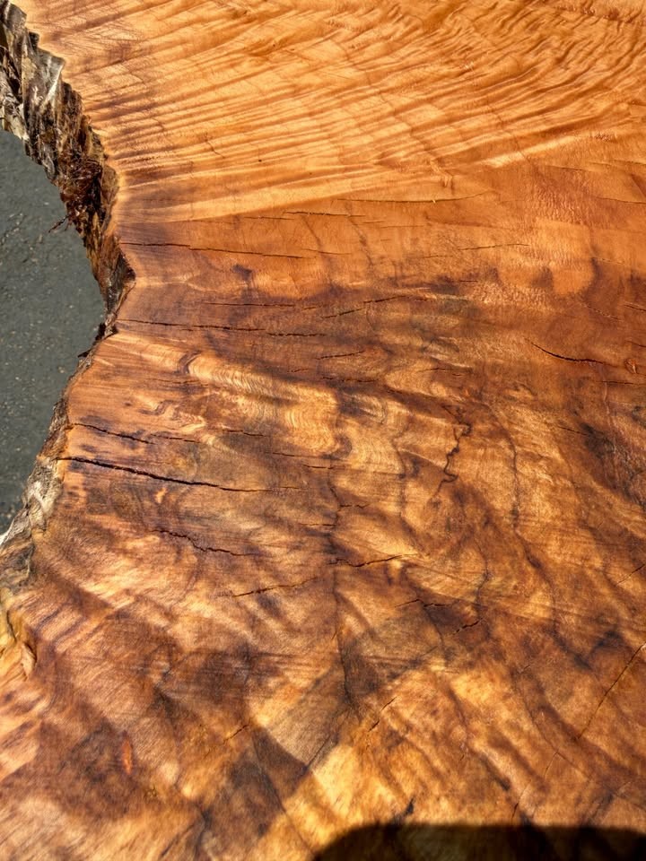 Live Edge Slab nice figure 13 ft. Long Bar or Tabletop air dry 13% max moist - Image 4