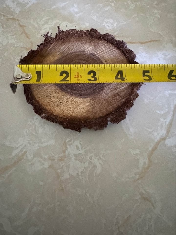 Walnut circles - Image 2