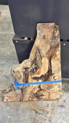 #20 Ambrosia Figured Maple slab