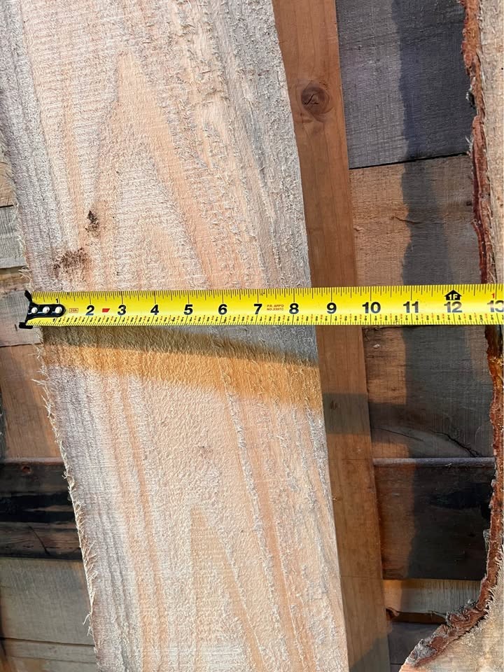 Live edge wood slabs white pine, and poplar 7 PCs for $20 - Image 8
