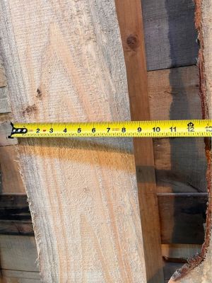 Live edge wood slabs white pine, and poplar 7 PCs for $20