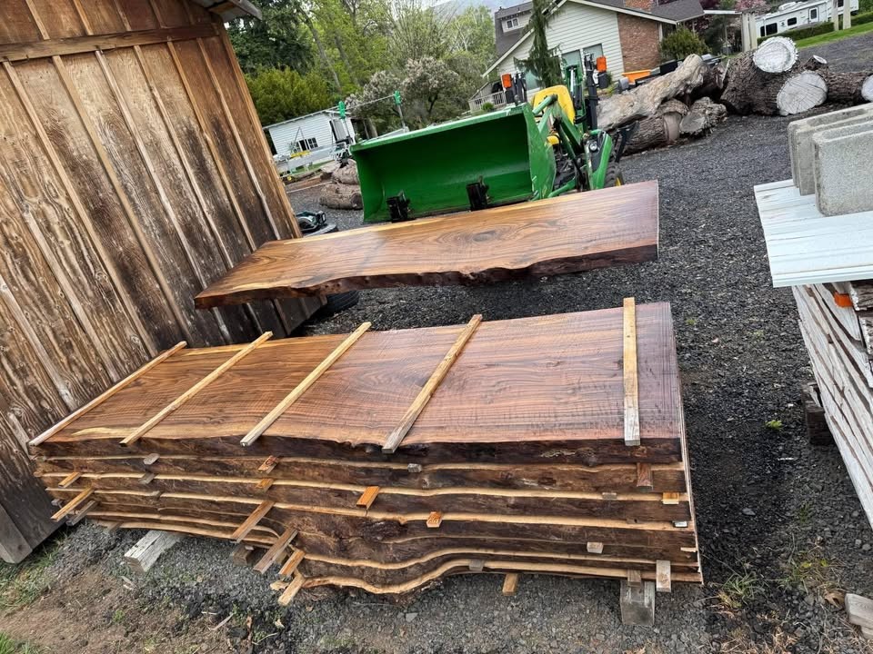 Black Walnut Live Edge Slabs - Image 6