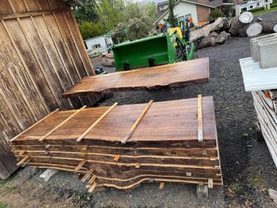 Black Walnut Live Edge Slabs