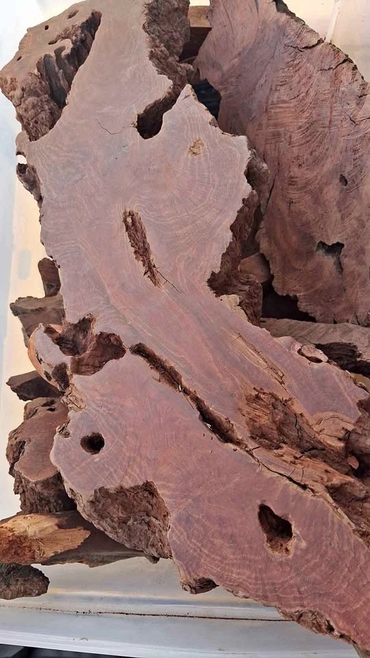 Manzaneda wood