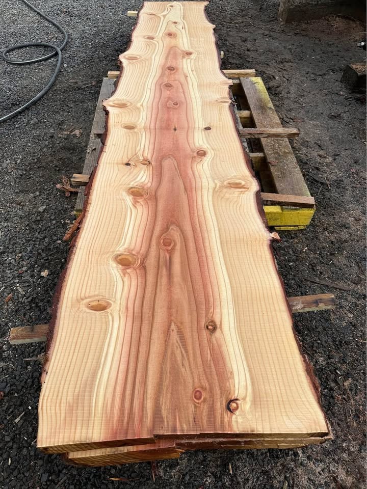 Sequoia Slabs - Image 9