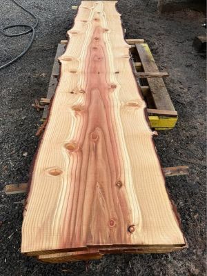 Sequoia Slabs