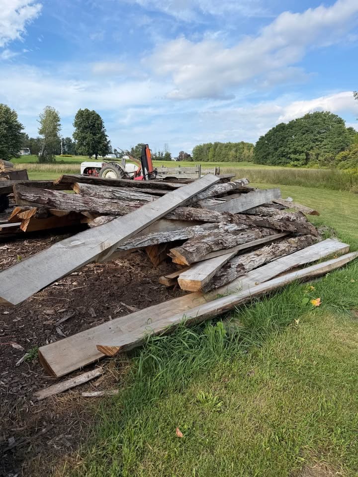 Rough Cut Lumber Slabs Lot - Image 3