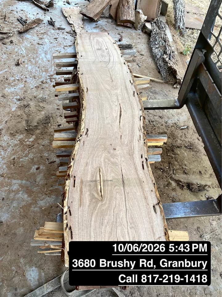 Live edge Wood, Yours or Ours - Image 1