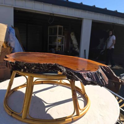 Live-Edge Wood Slab - Table?