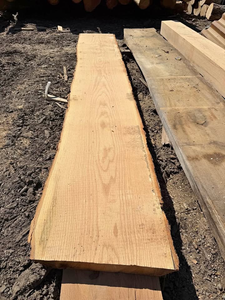 Red Oak Live Edge slab - Image 1