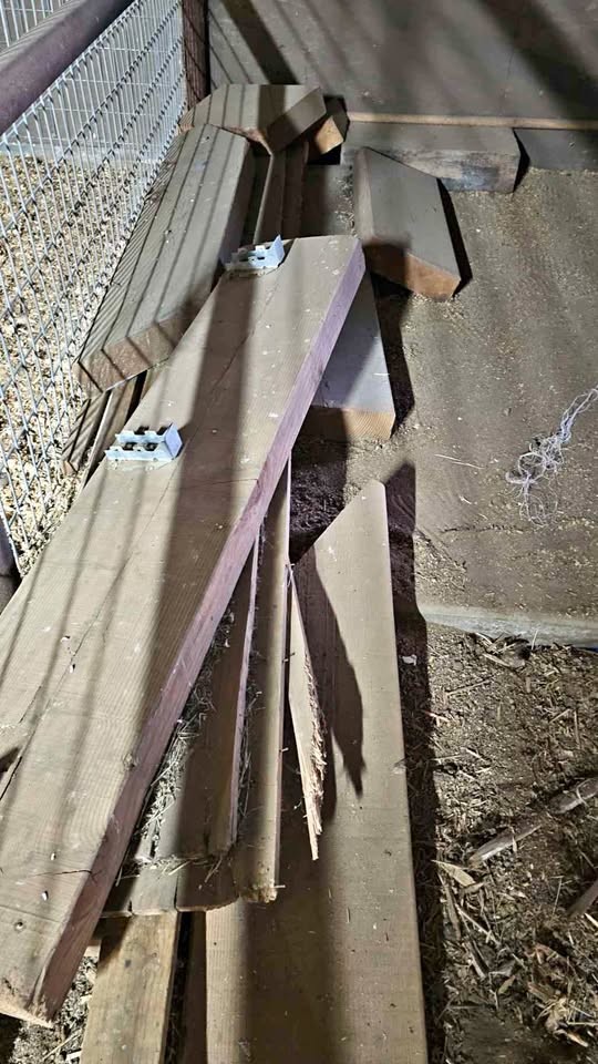 Reclaimed Wood Planks Lot 4x12  Multiple Lengths