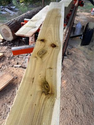 Poplar 1x12x8 lumber